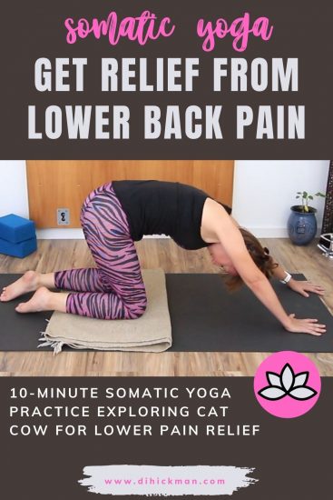 Somatic Yoga Cat Cow For Lower Back Pain Gentle Relief For Flank Pain