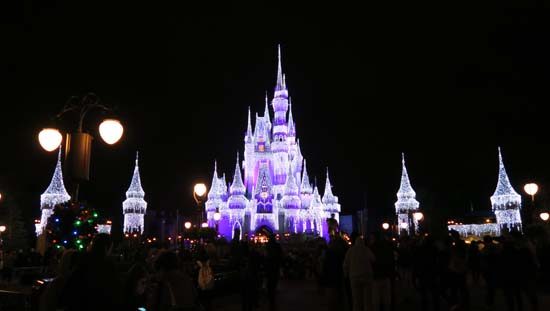 magic kingdom castle at night
