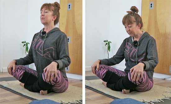 seated cat and cow exercise
